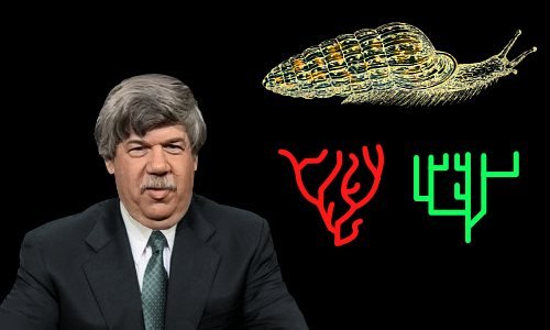 Stephen JayGould.3